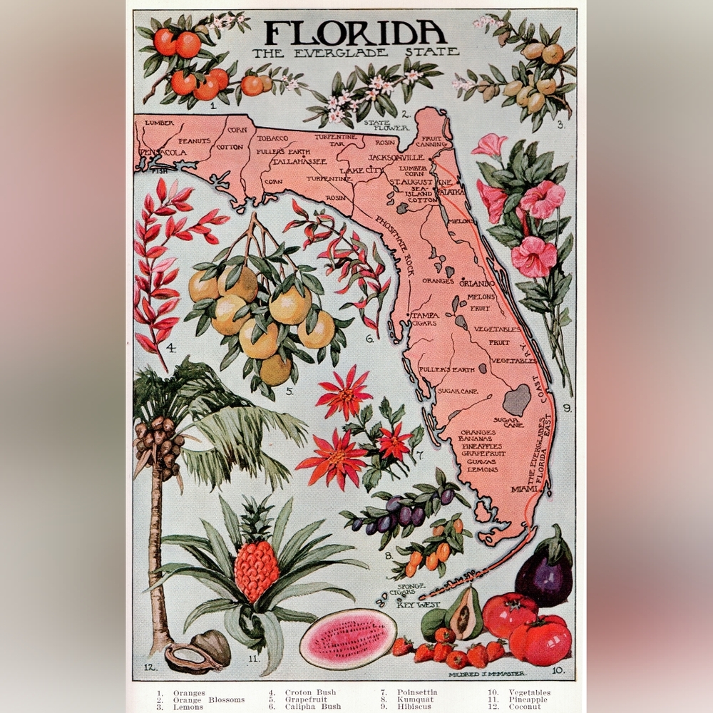 Vintage Florida Map Art Print